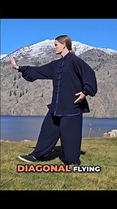 Practice Diagonal Flying, Raise Hands and White Crane Spreads its Wings - Yang Family Tai Chi