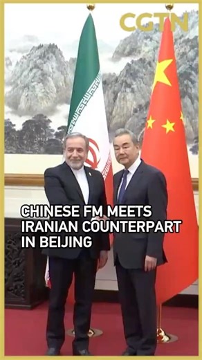 Chinese FM meets Iranian counterpart in Beijing