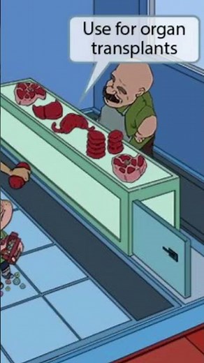 💊 Ace your USMLE pharmacology by understanding how Mycophenolate mofetil works!