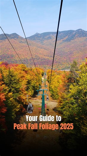 Artur & Maria | Adventure Travel Couple on Instagram: "🤨Fall colors don’t last forever Fall foliage 2025 is here, and the USA is about to light up in every shade of red, orange, and gold. Timing is everything if you want to see peak colors. 🍁 This nationwide fall color map shows you exactly when and where to catch the best autumn leaves across America. No more guessing, just plan your perfect leaf-peeping trip. 📍 Northern Rockies & Upper Midwest: late Sept – early Oct 📍 New England & Great L