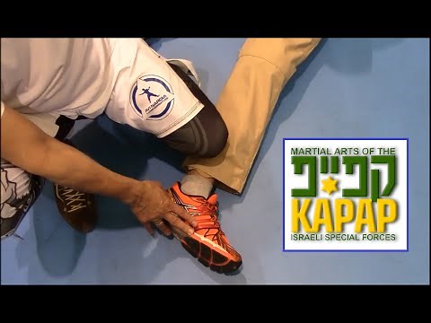 ISRAELI KAPAP Techniques - AVI NARDIA