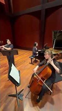 Albatross Plays Liebermann