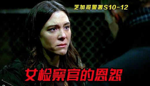 警察卧底贩毒团伙，意外揭开5年前的秘事，女检察官公报私仇？