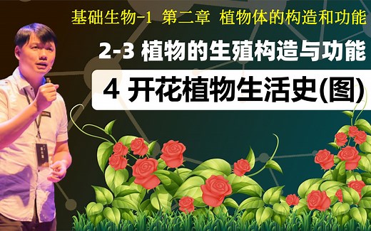 基础生物学 2-3.4 开花植物的生活史_哔哩哔哩_bilibili