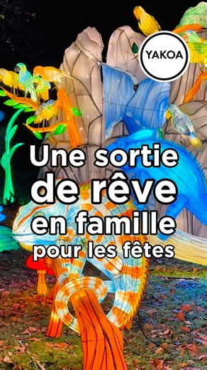 YAKOA Paris on Instagram: "Bientôt les vacances de Noël 🎄. J’ai la sortie idéale pour ceux qui seront en région parisienne pendant les fêtes. Rendez-vous au Parc Floral de Paris jusqu’au 11 janvier 2026 pour découvrir l’Odysée lumineuse ✨. C’est, selon moi, le meilleur rapport / qualité prix parmi les spectacles de la fin d’année. Ici, on combine tout en un seul billet à partir de 11€ par enfant et 13€ par adulte. Imaginez... Plus de 1000 lanternes lumineuses avec des univers aussi variés que l