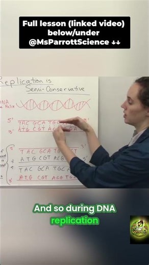 DNA Replication Explained: Copying Life's Blueprint FAST! #shorts