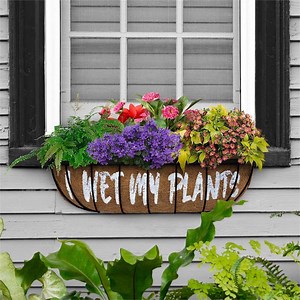 Funny Coconut Fiber Planter Liners – 3 Pack Coco Liners With Quotes for Hanging Baskets, Window Boxes, Wall Planters - Etsy Canada