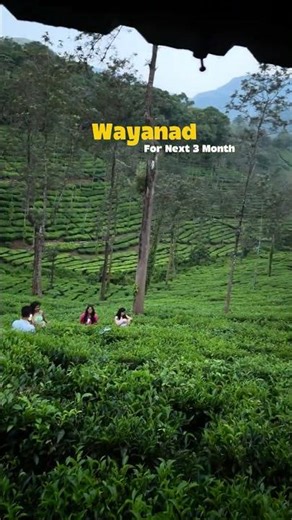 This is Wayanad — Kerala’s green escape. #travel #kerala #indiatravel #ytshorts #ytshortsindia