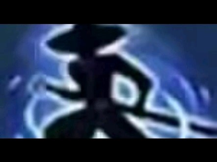 鹦鹉族群的生态环境观察现状