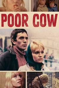 Poor Cow Summary, Trailer, Cast, Where to Watch and More