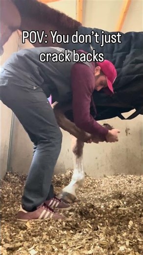 Satisfying Fetlock Pop 🔊💥 #asmr #horse #satisfying #equinephysio #equineosteopathy