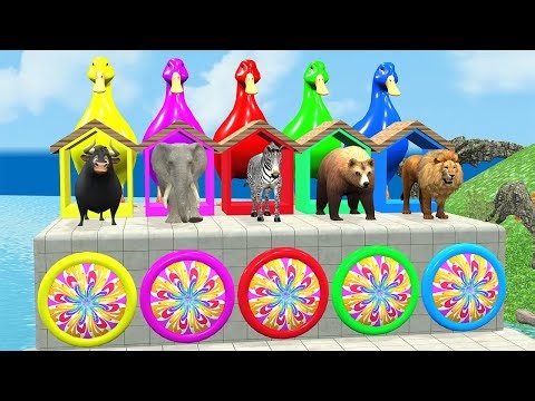 Playing as Spideman in Long Slide Game with Cow Elephant Gorilla - 3d Animal Game - Funny 3d Animals