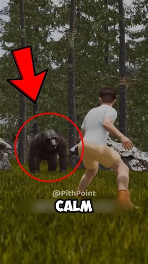 If You Ever See a Bear While Hiking… Don’t Make This Dangerous Mistake 🐻