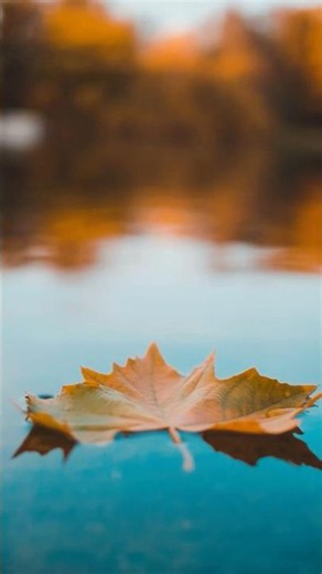 Autumn Paradise | Relaxing Music for Sleep, Peace & Meditation #cozynights #sleepmusic #ambientmusic