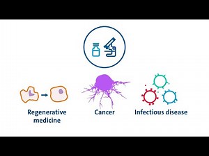 Extracellular Vesicles: What They Are, Application Potential, and How to Scale