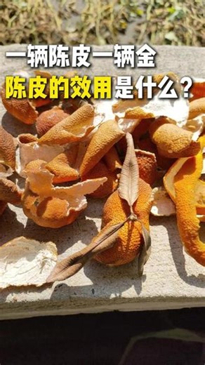 话说“一两陈皮一两金”，陈皮有什么作用？ #陈皮 #中药材 #陈皮白茶 #食品安全