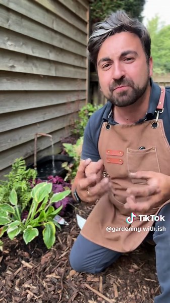 Transform Your Shady Garden Space Instantly