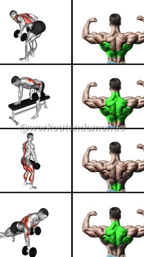 Back Workout to Get a V-Shape Body 🔥 #shorts #gym #workout