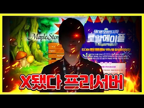 칼 꺼낸 메이플, 프리서버 조진다