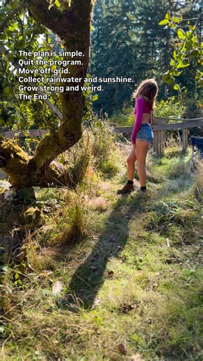 Amelia Ground | Why overcomplicate life? Off-grid living is simple when you build around peace and nature. | Instagram