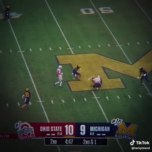 Michigan Wolverines vs. Ohio State Buckeyes Highlights (2025)