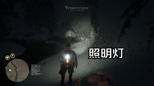 荒野大镖客2线上辅助科技修改器Fortitude坚毅