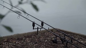 61K views · 746 reactions | Nash Pursuit Rod Range - IN SHOPS NOW Lengendary Nash Pursuit performance is back, true work horses worthy of the Pursuit name. | Nash Tackle | Facebook