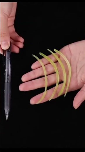 4 in 1 Multi-Function Vegetable Cutter & Slicer with Stainless Steel Blades Manual Vegetable Chopper