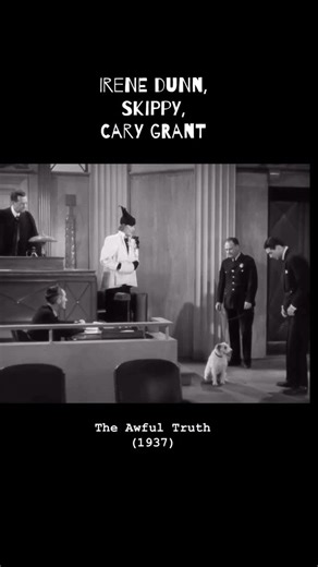 Nostalgically Thinking on Instagram: "The Awful Truth with Cary Grant and Irene Dunn also featured Skippy the dog - better known to most as Asta from The Thin Man movies. He was also in Bringing Up Baby (1938) and more than a dozen movies during the 1930s. What brought him the most fame, though, was his work on all six of the Thin Man movies. At a time when most canine actors in Hollywood films earned $3.50 a day, Skippy’s weekly salary was $250.00. He lived to be 20-years old. #oldmovies #oldho