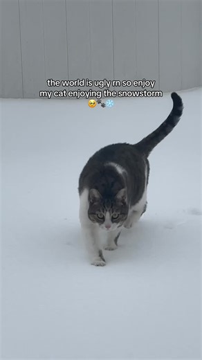 amanda nicole | ugc creator on Instagram: "just trying to brighten the feed a little 🥲"