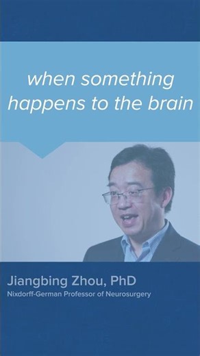 Blood Brain Barrier - A Basic Explanation