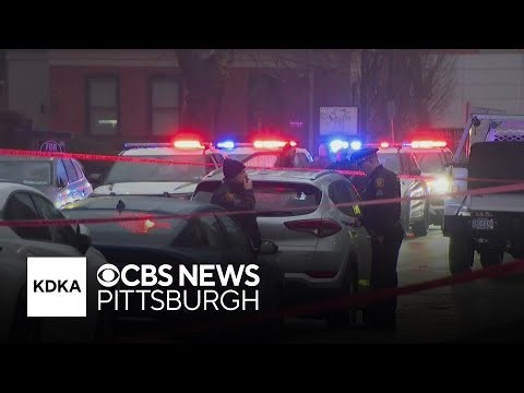 Man shoots at woman and dog, police return fire during incident in Pennsylvania