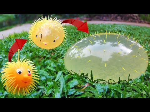 Inflating Toy with Water until it Pops