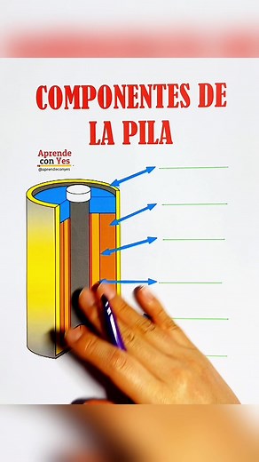 Componentes de una pila: Estructura y Función