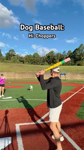 The Greatest Ground Ball Catch is by a Dog!