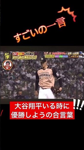 【伝説の序章】2016年・大谷翔平がハムを優勝に導いた神シーズン！#大谷翔平 #ShoheiOhtani #2016年 #北海道日本ハムファイターズ #二刀流 #プロ野球 #神シーズン #優勝