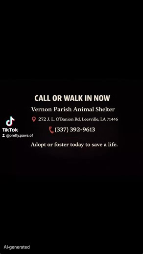 Help Save Dogs at Vernon Parish Animal Shelter