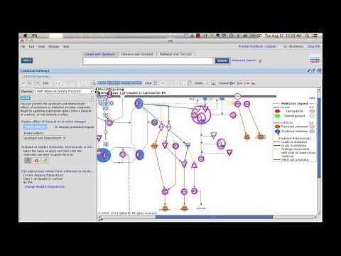 Ingenuity Pathway Analysis: Molecule Activity Predictor (MAP)