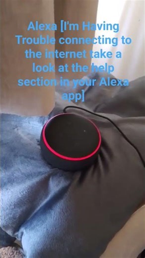 I'm having trouble connecting to the internet take a look at the help section in your Alexa app