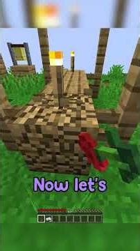 Minecraft, But You Can’t Touch Something that Starts With the Letter “A”