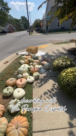 Let’s make a fall porch with The Pumpkin Dispatch! 🎃🍁 | Heather Mathis NC5