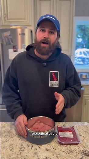 A Dog Trainer’s Daily Routine for a Happy Pup! 🐕‍🦺✨ | We Feed Raw