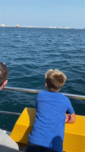 David Sinclair (@davidsinclair57)’s videos with Feels Like Summer - Samuel Jack