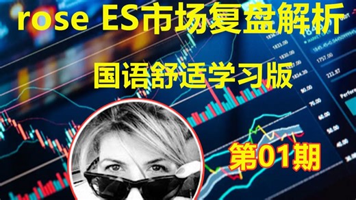 rose ES市场复盘解析国语舒适学习版01