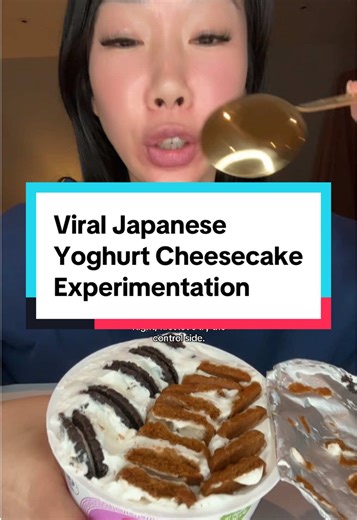 Japanese Yoghurt Cheesecake Taste Test Comparison