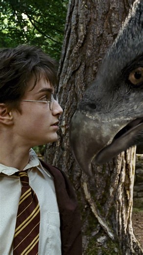 Who's the real chicken here, Buckbeak or Malfoy? 👀 | Harry Potter