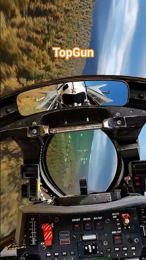 F-14 Top Gun on MP servers | DCS | Amazing Graphics #dcs #dcsworld #f14 #tomcat #simulator #topgun