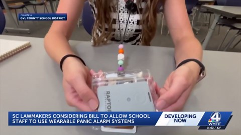 'What seconds can do': SC lawmakers consider public school panic button law