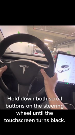 Tesla Knows on TikTok