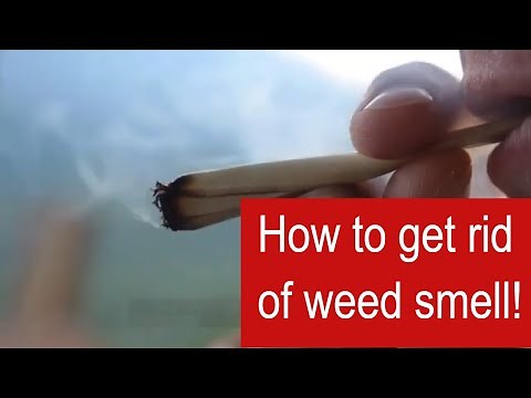 How to Get Rid of Weed Smell [Detailed Guide]